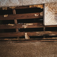 木造家屋の剥がれ落ちた天井と露出した梁の老朽化の写真