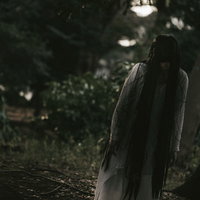 薄明るい森の中を彷徨う黒い服の女性の不気味な後ろ姿の写真