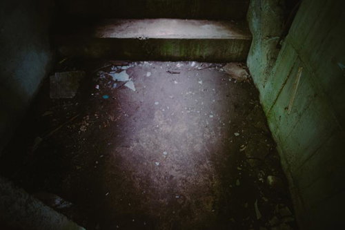 ガラスが散らばる薄暗い廃墟の道 - コンクリート階段と苔むした壁