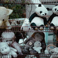 かつてのぬくもりを宿すぬいぐるみたちが積み重なる籠の中の写真