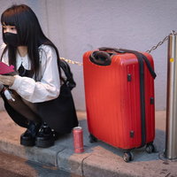 終電を逃して帰れない地雷系女子とキャリーケースの写真