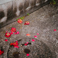 エメラルドグリーンの海と白い砂浜の宮古島海岸の写真