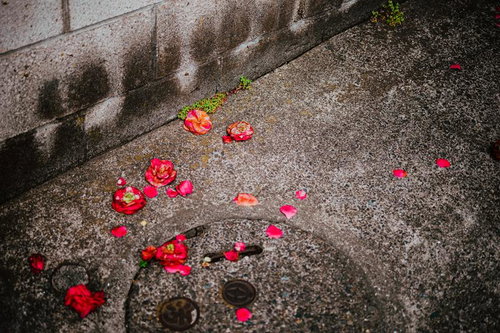 エメラルドグリーンの海と白い砂浜の宮古島海岸