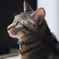 現場のおじさんに呼ばれた気がしたの写真