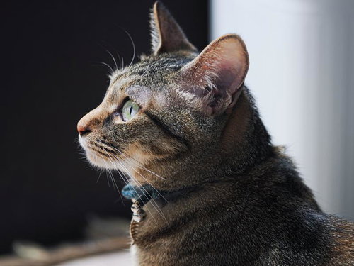 現場のおじさんに呼ばれた気がした