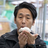 手のひらに乗せた白いハツカネズミと男性の写真
