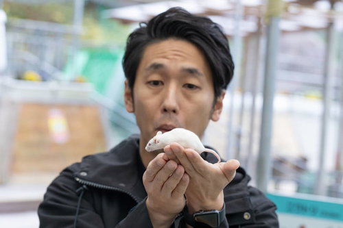 手のひらに乗せた白いハツカネズミと男性