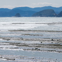 洗濯板みたいなゴツゴツが続く鬼の洗濯岩の海岸線（宮崎県日南市）の写真