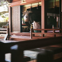 鵜戸神宮の朱塗りの神殿内部と神職による参拝風景の写真