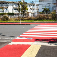 日南市の隠れた名所！紅白柄の横断歩道と黄色い誘導ブロックの写真