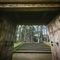 飫肥城の裏門をくぐって見える杉林と石段の風景の写真