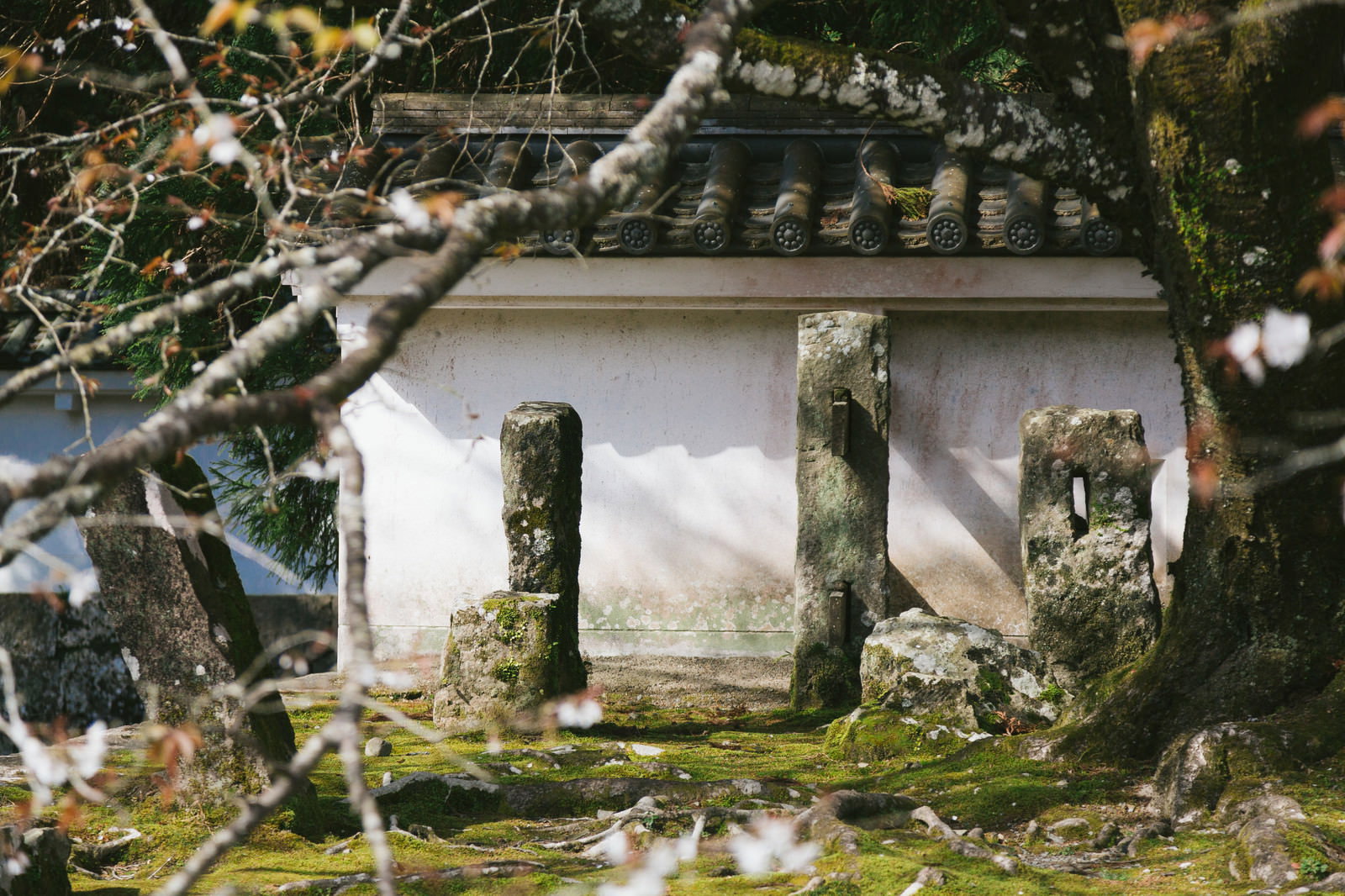 苔むした石垣の上に建つ白い塀と石柱が見える飫肥城の一角