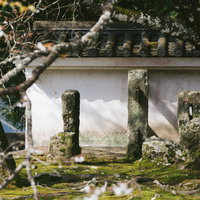 飫肥城の塀を支える苔むした石柱と石垣、江戸時代の歴史的構造の写真