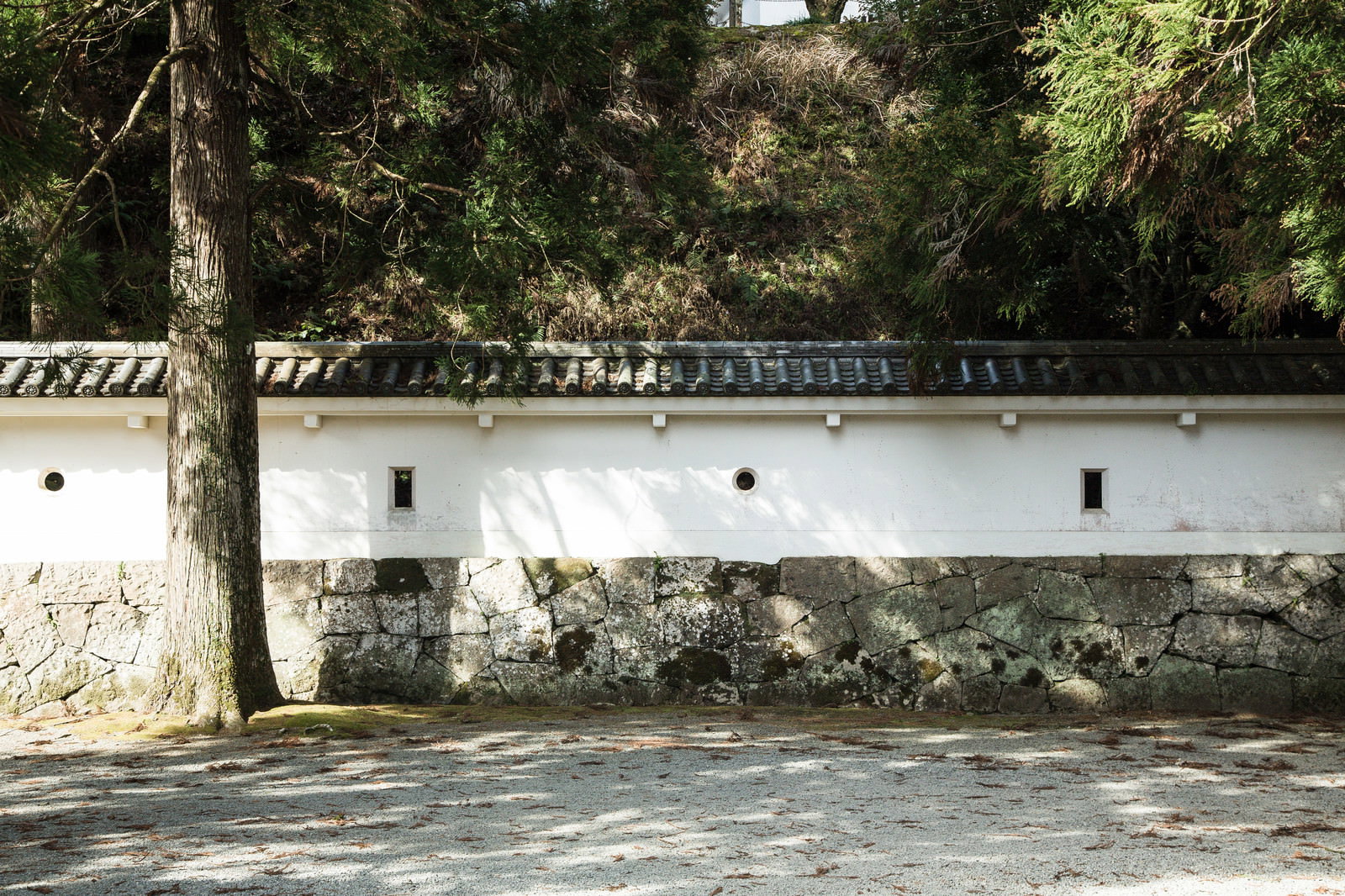 石垣の上に建つ白い塀に狭間が並ぶ飫肥城の城壁