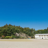 城址にある飫肥小学校の校庭と桜の木が咲く春の運動場の写真