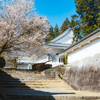 宮崎県日南市の飫肥城歴史資料館と満開の桜の写真