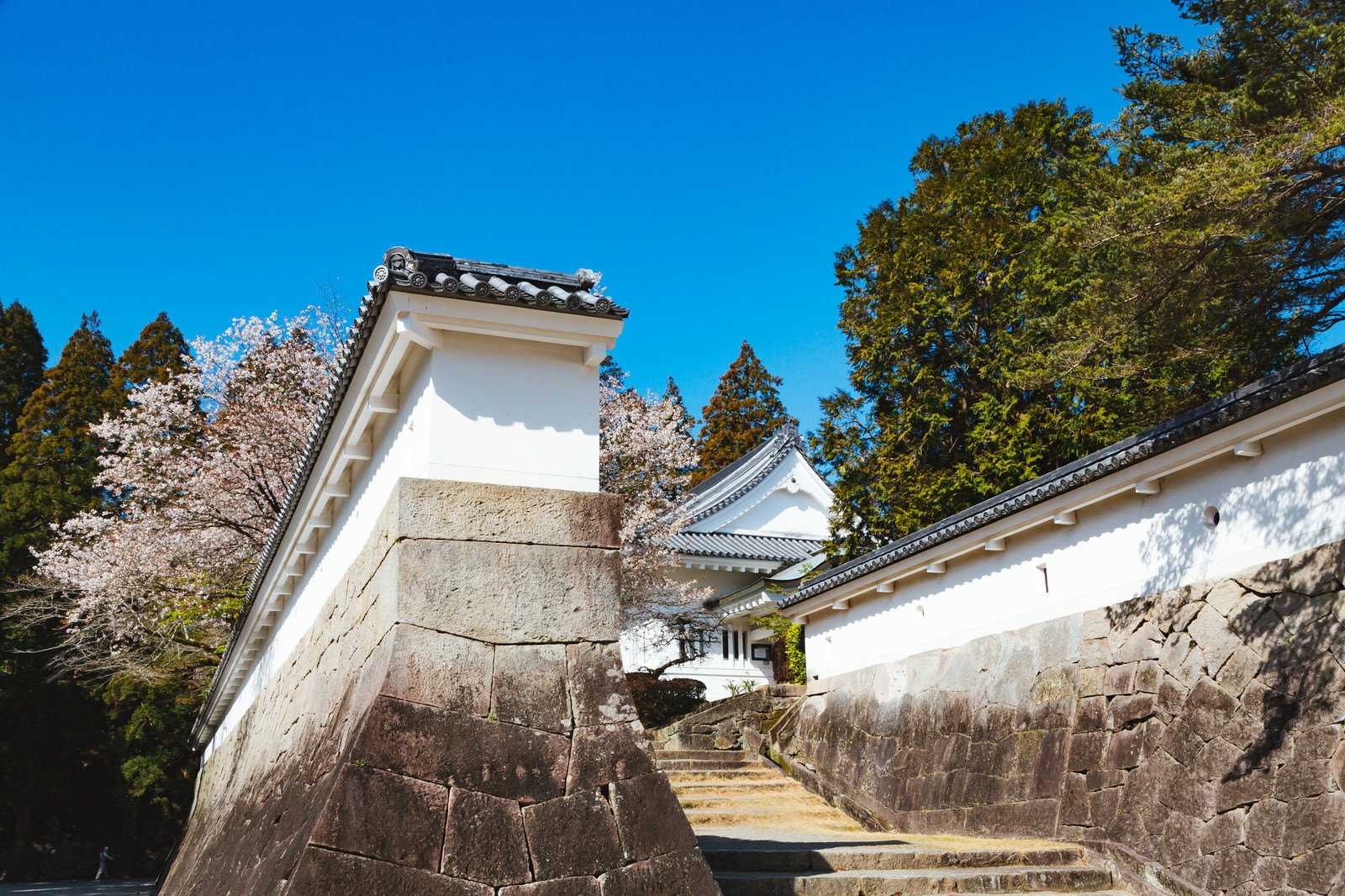 飫肥城址の石垣と白壁の城塀・石段