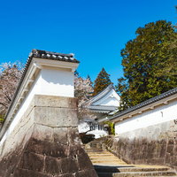 塀の奥にたたずむ飫肥城歴史資料館の写真