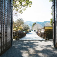 飫肥城の大手門から奥へ伸びる石畳の参道と両側の石垣の写真