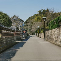 飫肥城下町の横馬場通り、上級家臣が住んだ武家屋敷通りの写真