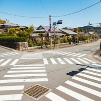 飫肥城の大手門に通じるスクランブル交差点の写真