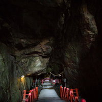 洞窟奥深くに建つ祇園神社の朱色の鳥居が連なる光景（日南市）の写真