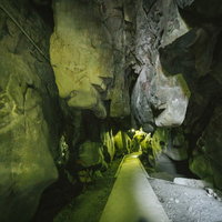 岩が突き出る龍神の祇園神社、緑光に包まれた日南市の神社の写真