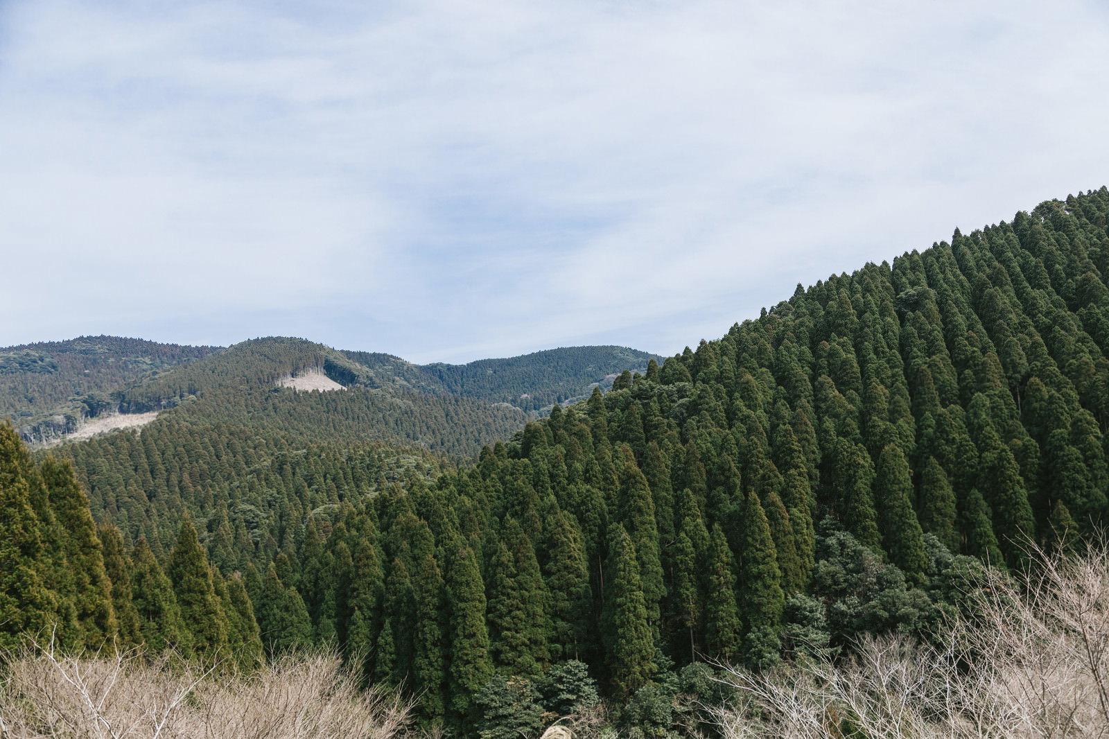 宮崎県日南市の飫肥杉が植林された山林と遠くに連なる山々