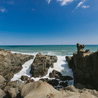 本釣りカツオ炙り重の定食の写真