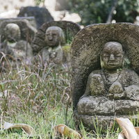 日南市の古い墓地に並ぶ苔むしたお地蔵さんの写真