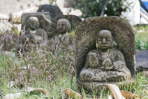 日南市の古い墓地に並ぶ苔むしたお地蔵さん