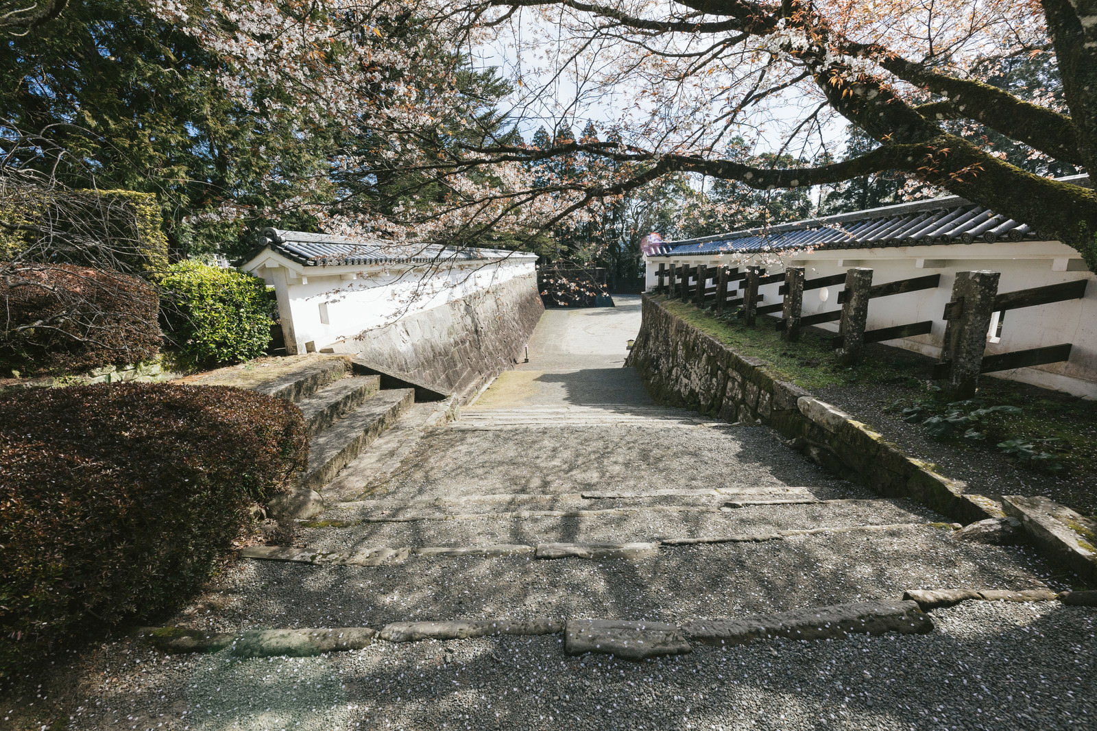 木陰に覆われた飫肥城跡の石段の通学路、石垣と木製手すりが見える