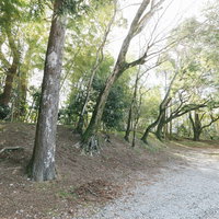 宮崎県日南市の飫肥城跡に残る土塁と石垣および塁壁の遺構の写真