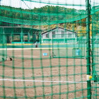 野球場で練習中の選手たちをネット越しに見た風景の写真