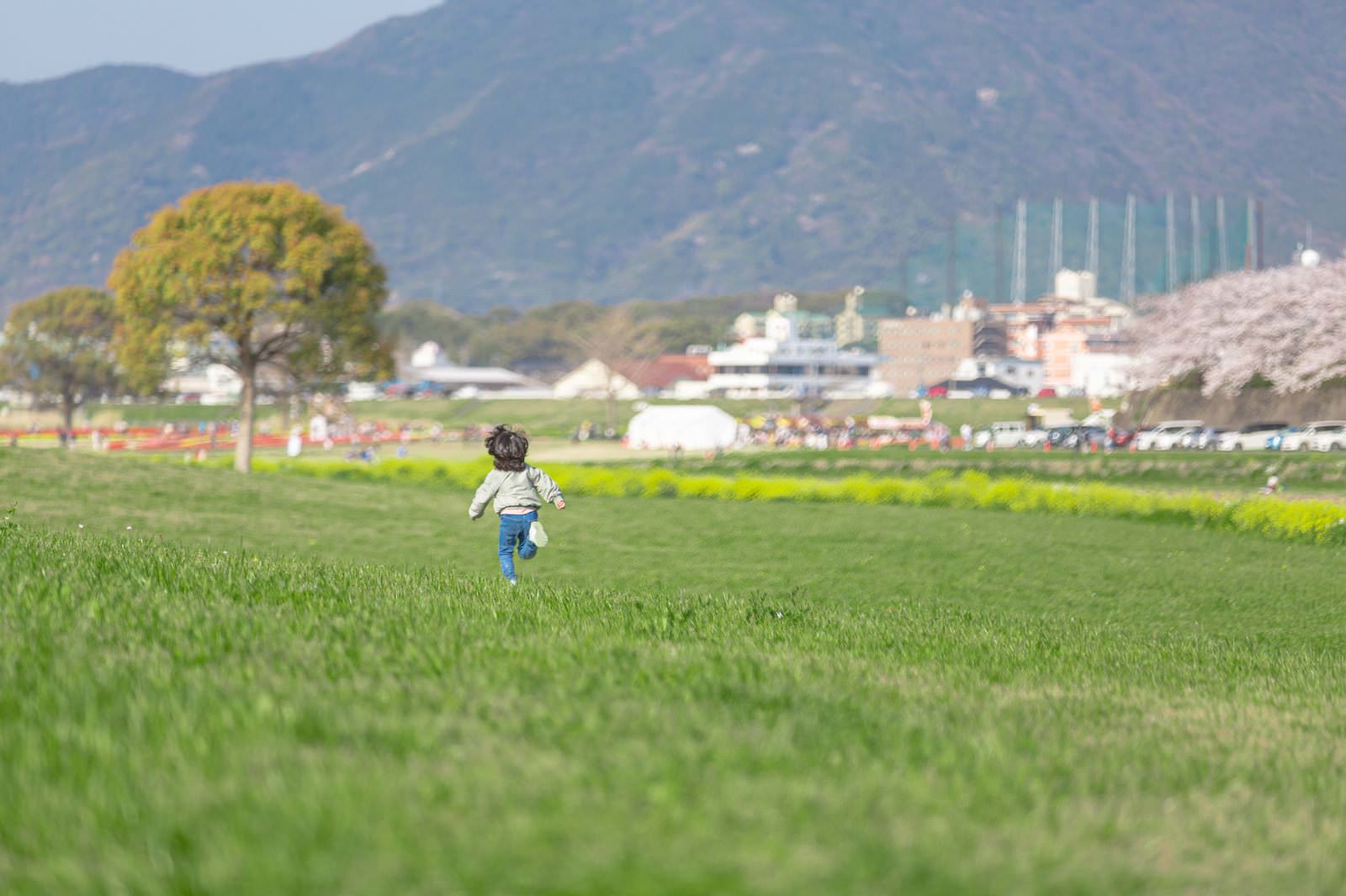 緑の芝生が広がる河川敷で青い服を着た子供が走っている様子