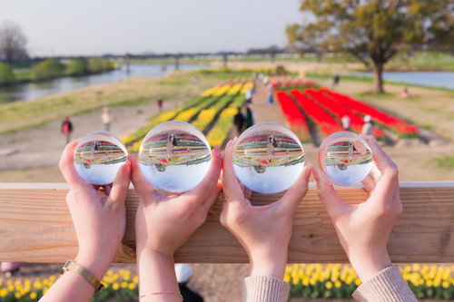 チューリップフェア2022の見晴台から水晶玉を4つ並べて撮影