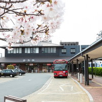 満開の桜が咲く直方駅前の風景の写真