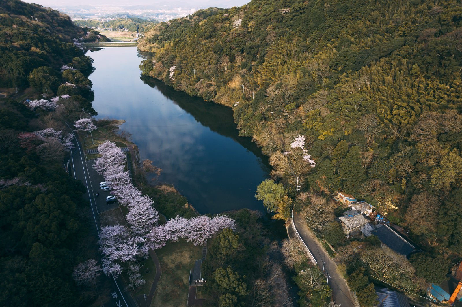 内ヶ磯ダムの静かな水面に桜と緑の渓谷が映り込む風景