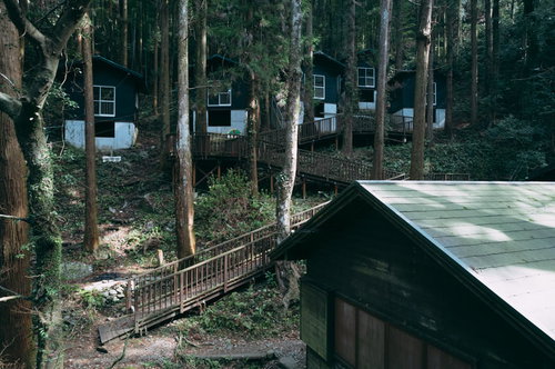 龍王峡キャンプ村の緑に囲まれたコテージと森林環境