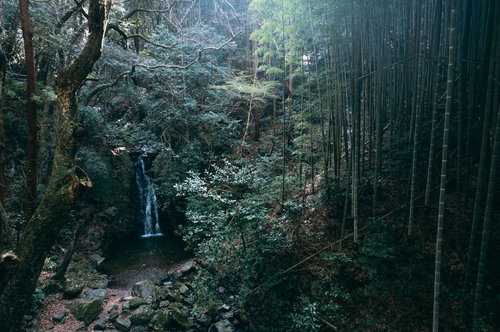 福岡県直方市の竜王峡にある一の滝の渓流風景