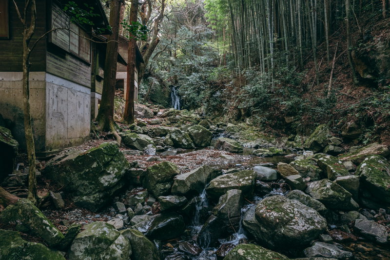 木々に囲まれる竜王峡の渓流の写真