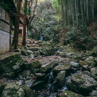 木々に囲まれる竜王峡の渓流とコテージ、苔むした岩が点在する渓谷風景の写真