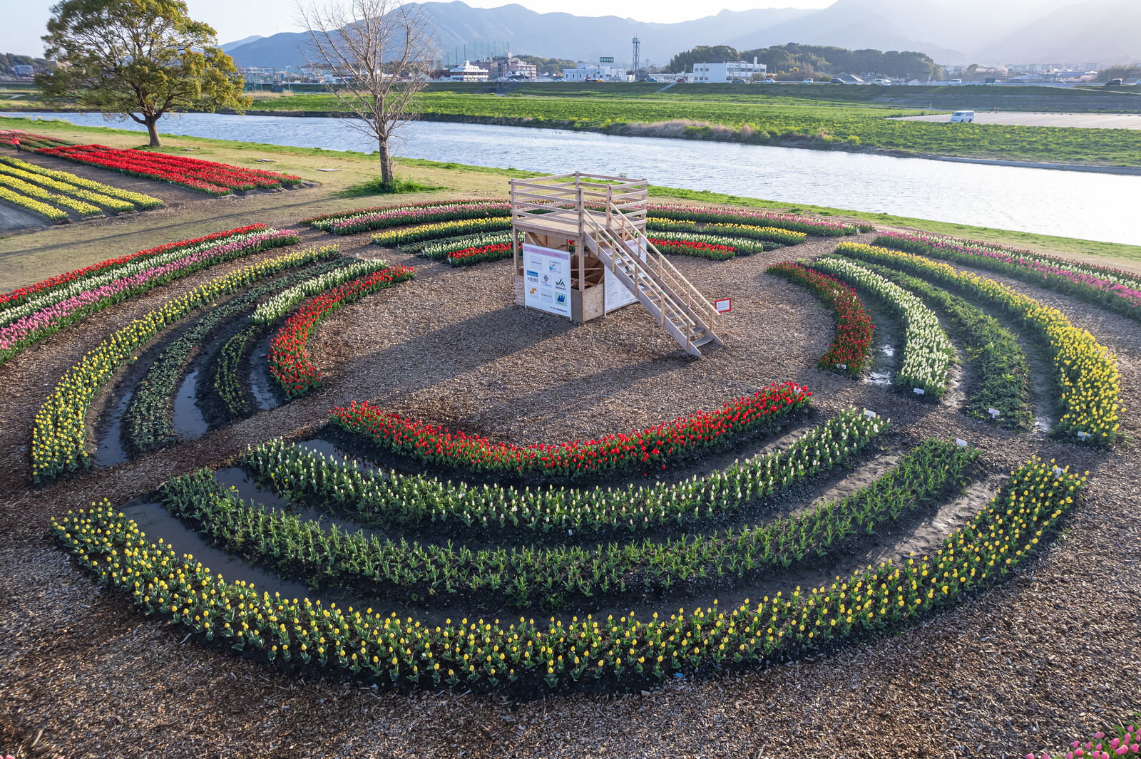 円形の白い展望台を中心に同心円状に植えられたカラフルなチューリップ畑