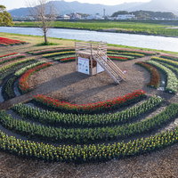 福岡県直方市のおがたチューリップフェアの円形展望台の写真