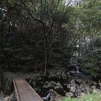 竜王峡キャンプ村の清流と木道・福岡県直方市の渓谷トレッキングの写真