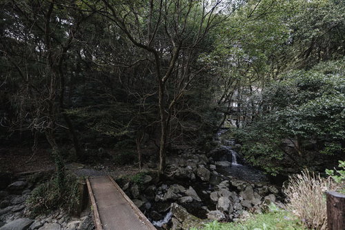 竜王峡キャンプ村の清流と木道・福岡県直方市の渓谷トレッキング