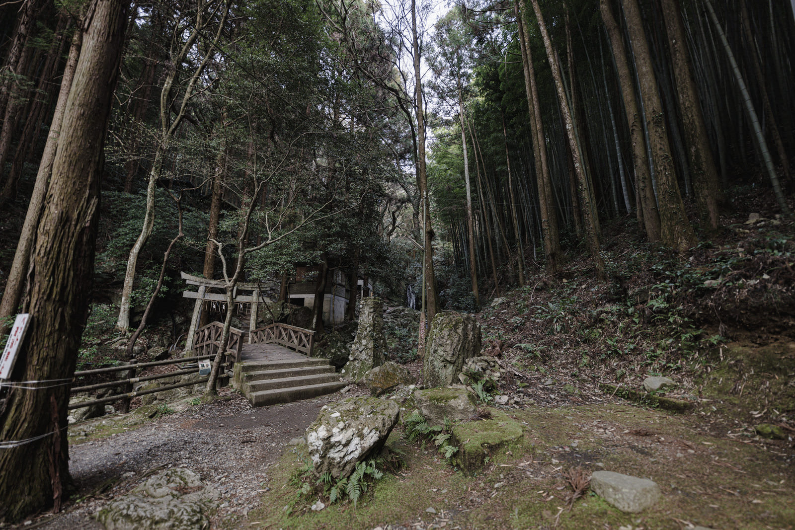 竜王峡の深い森の中に続く石段の遊歩道と奥に見える鳥居