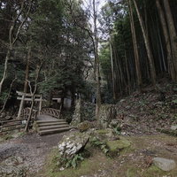 竜王峡キャンプ村の入り口、石段の参道と鳥居の写真
