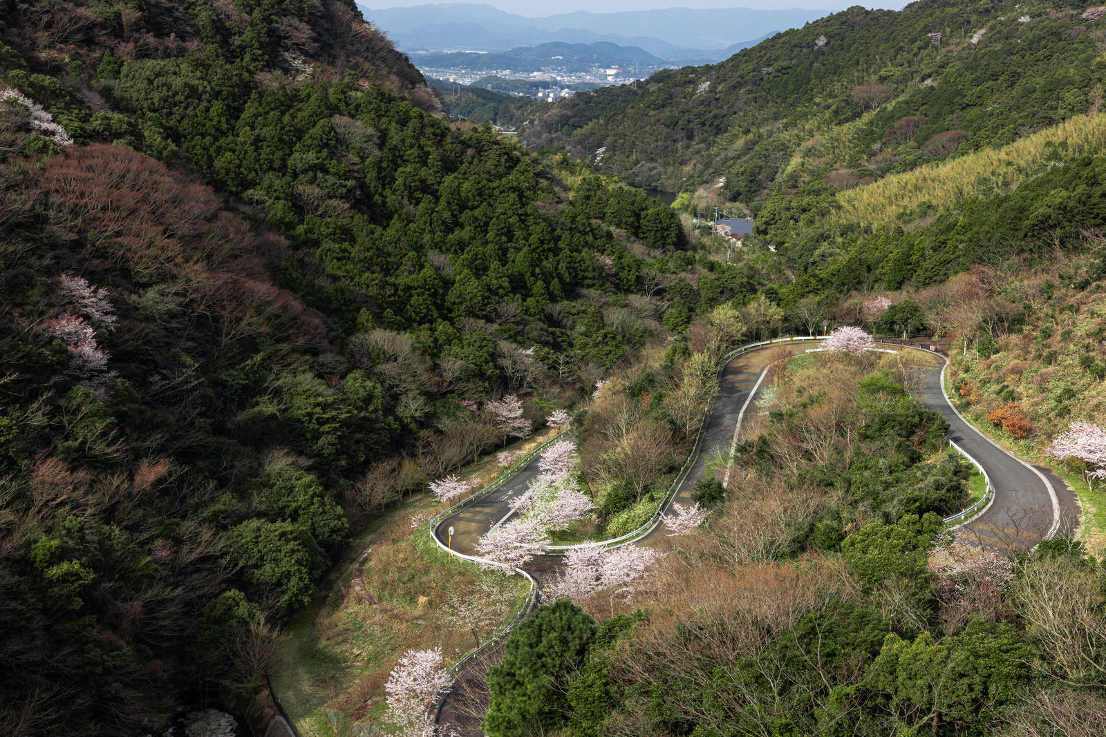 福智山ダムと山間を蛇行して通る道路を上空から撮影した俯瞰写真