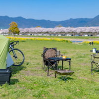 桜並木を背景にした直方市オートキャンプ場でのテント設営の写真
